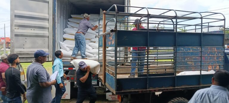 Distribuyen 1, 500 quintales de fertilizantes entre productores de agricultura familiar en Colón