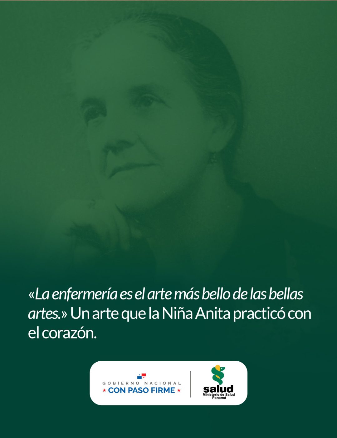 CARRUSEL-PASOS PARA POSTULACION-ANITA MORENO-04